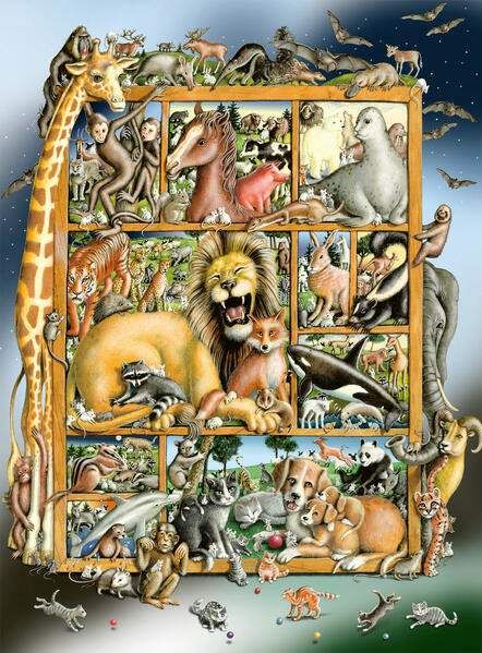 Spiel 13162.0
